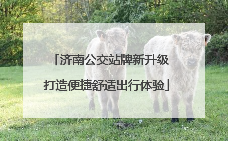 济南公交站牌新升级 打造便捷舒适出行体验