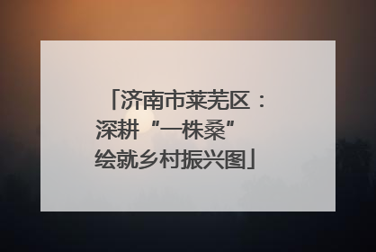 济南市莱芜区：深耕“一株桑” 绘就乡村振兴图