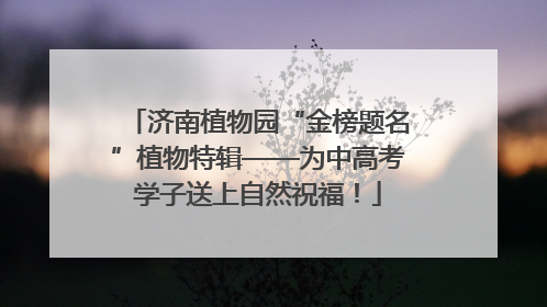 济南植物园“金榜题名”植物特辑——为中高考学子送上自然祝福！