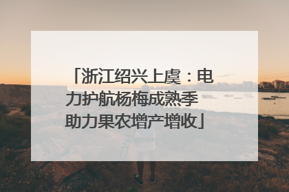 浙江绍兴上虞：电力护航杨梅成熟季 助力果农增产增收