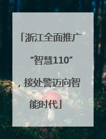 浙江全面推广“智慧110”，接处警迈向智能时代