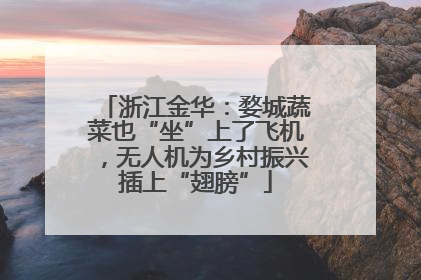 浙江金华：婺城蔬菜也“坐”上了飞机，无人机为乡村振兴插上“翅膀”