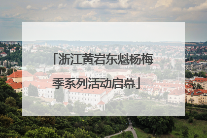 浙江黄岩东魁杨梅季系列活动启幕