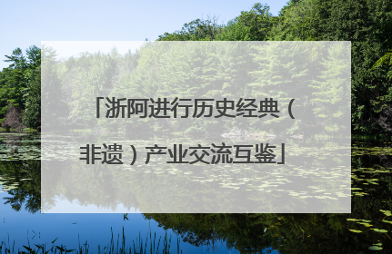 浙阿进行历史经典（非遗）产业交流互鉴