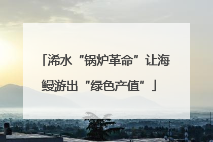 浠水“锅炉革命”让海鳗游出“绿色产值”