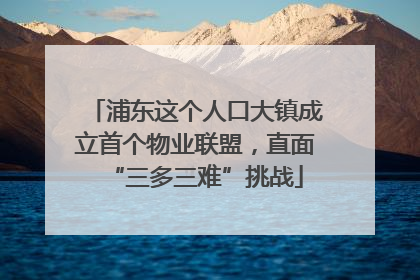 浦东这个人口大镇成立首个物业联盟，直面“三多三难”挑战