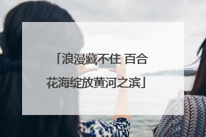 浪漫藏不住 百合花海绽放黄河之滨