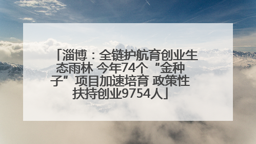 淄博：全链护航育创业生态雨林 今年74个“金种子”项目加速培育 政策性扶持创业9754人