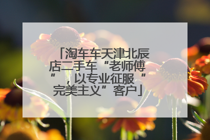 淘车车天津北辰店二手车“老师傅”，以专业征服“完美主义”客户