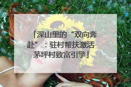 深山里的“双向奔赴”：驻村帮扶激活茅坪村致富引擎