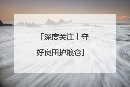 深度关注丨守好良田护粮仓