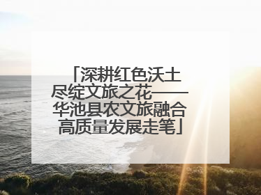 深耕红色沃土 尽绽文旅之花——华池县农文旅融合高质量发展走笔