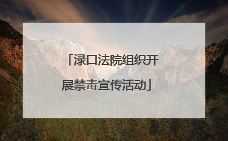 渌口法院组织开展禁毒宣传活动