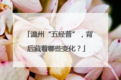 温州“五经普”，背后藏着哪些变化？