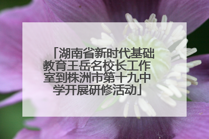 湖南省新时代基础教育王岳名校长工作室到株洲市第十九中学开展研修活动