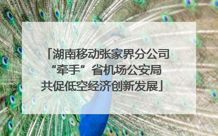 湖南移动张家界分公司“牵手”省机场公安局 共促低空经济创新发展