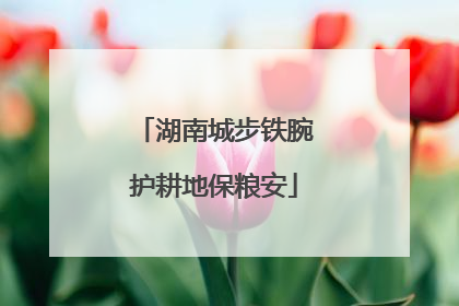 湖南城步铁腕护耕地保粮安