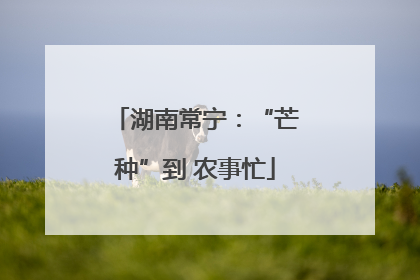 湖南常宁：“芒种”到 农事忙
