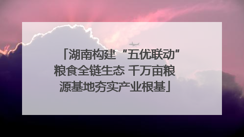 湖南构建“五优联动”粮食全链生态 千万亩粮源基地夯实产业根基