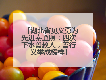 湖北省见义勇为先进秦遵照：四次下水勇救人，善行义举成榜样