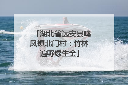 湖北省远安县鸣凤镇北门村：竹林遍野绿生金