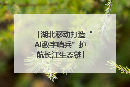 湖北移动打造“AI数字哨兵”护航长江生态链