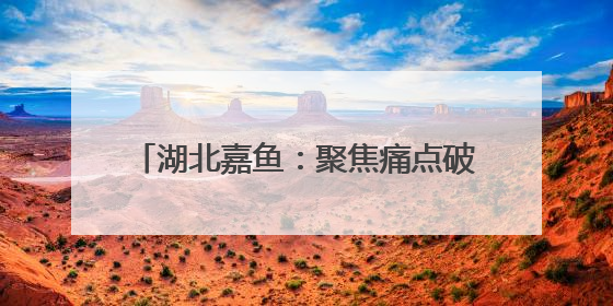 湖北嘉鱼：聚焦痛点破难题 创新实干优环境