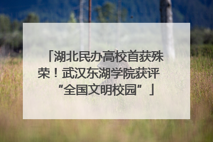 湖北民办高校首获殊荣！武汉东湖学院获评“全国文明校园”