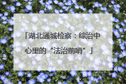 湖北通城检察：综治中心里的“法治前哨”