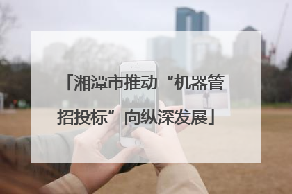 湘潭市推动“机器管招投标”向纵深发展