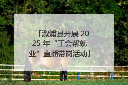溆浦县开展 2025 年“工会帮就业”直播带岗活动