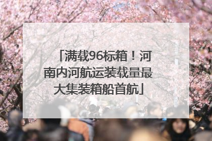 满载96标箱！河南内河航运装载量最大集装箱船首航