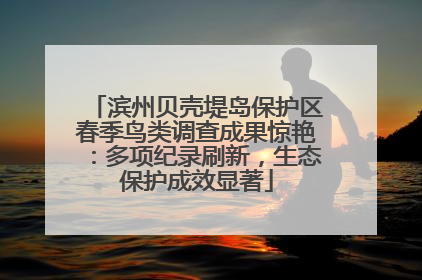滨州贝壳堤岛保护区春季鸟类调查成果惊艳：多项纪录刷新，生态保护成效显著