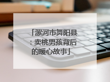 漯河市舞阳县：卖桃男孩背后的暖心故事