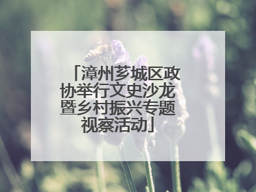 漳州芗城区政协举行文史沙龙暨乡村振兴专题视察活动