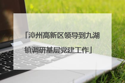 漳州高新区领导到九湖镇调研基层党建工作