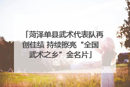 菏泽单县武术代表队再创佳绩 持续擦亮“全国武术之乡”金名片