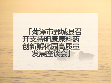 菏泽市鄄城县召开支持明康原料药创新孵化园高质量发展座谈会