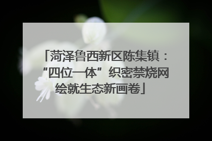 菏泽鲁西新区陈集镇：“四位一体”织密禁烧网 绘就生态新画卷