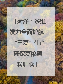 菏泽：多维发力全面护航“三夏”生产 确保夏粮颗粒归仓