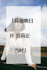 荷塘映日开 赏荷正当时