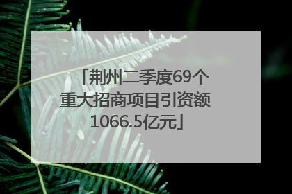 荆州二季度69个重大招商项目引资额1066.5亿元