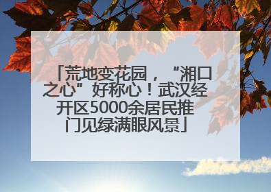 荒地变花园，“湘口之心”好称心！武汉经开区5000余居民推门见绿满眼风景