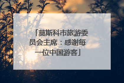 莫斯科市旅游委员会主席：感谢每一位中国游客