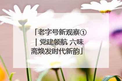 老字号新观察①｜党建领航 六味斋焕发时代新韵