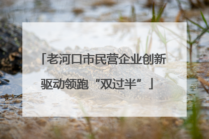 老河口市民营企业创新驱动领跑“双过半”