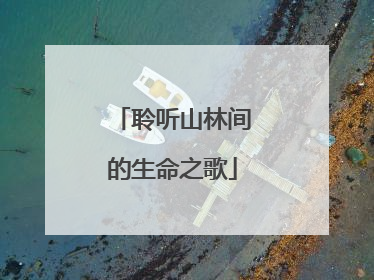 聆听山林间的生命之歌