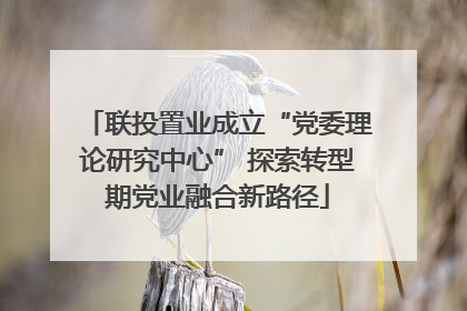 联投置业成立“党委理论研究中心” 探索转型期党业融合新路径