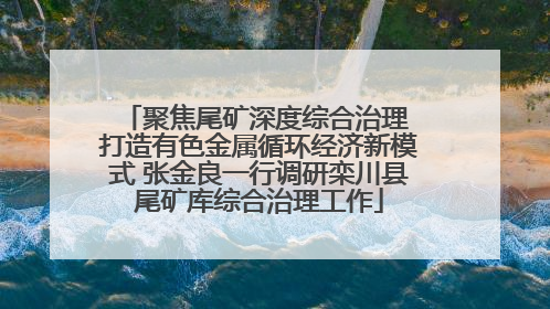 聚焦尾矿深度综合治理 打造有色金属循环经济新模式 张金良一行调研栾川县尾矿库综合治理工作