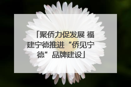 聚侨力促发展 福建宁德推进“侨见宁德”品牌建设
